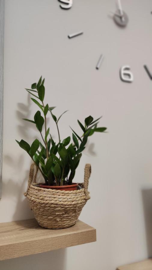 Rock & Roll 2 - Modern In Apartment *